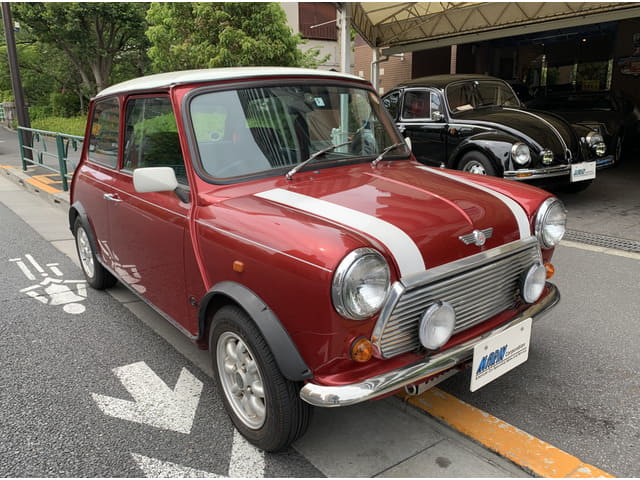 ROVER Mini