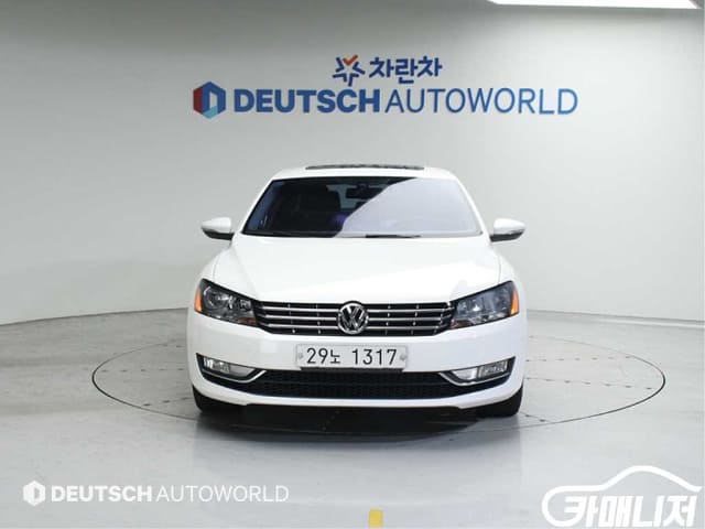 VOLKSWAGEN / Passat/ (THENEW)