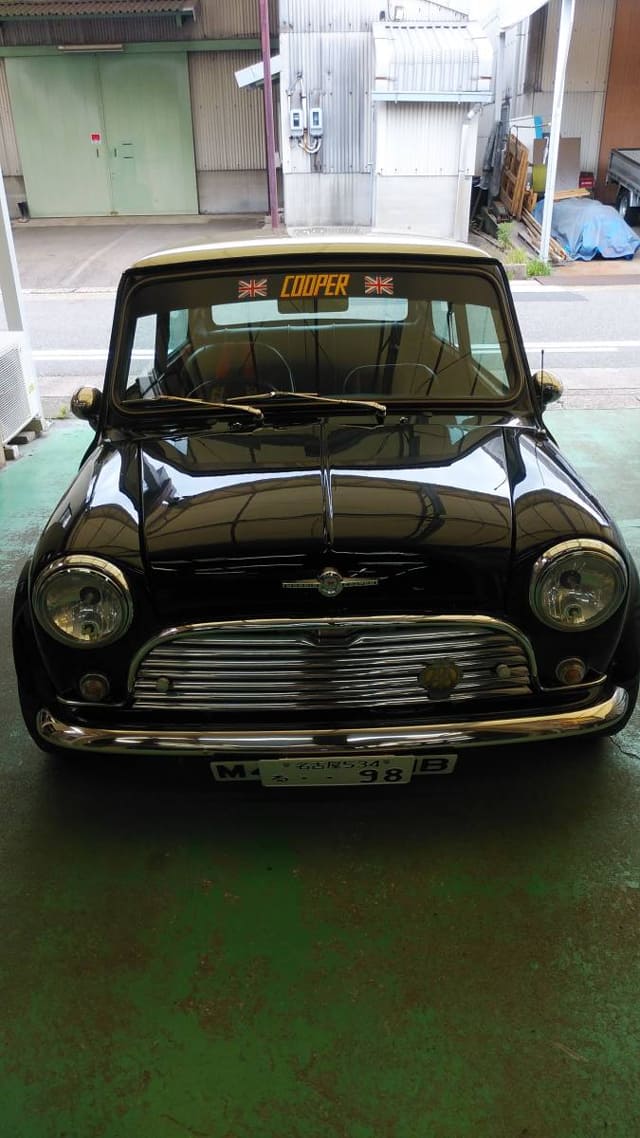 ROVER Mini