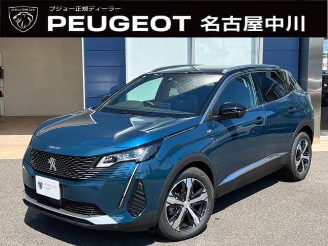 PEUGEOT / 3008 (P845G06)