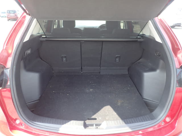 Cabinet with Doors
