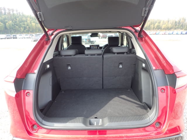 Cabinet with Doors