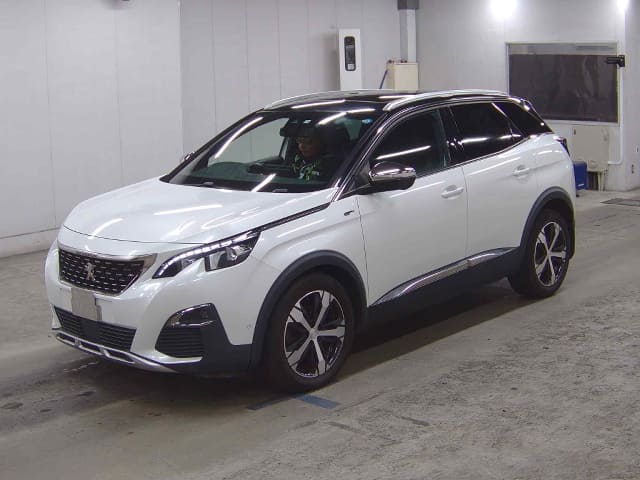 PEUGEOT 3008]