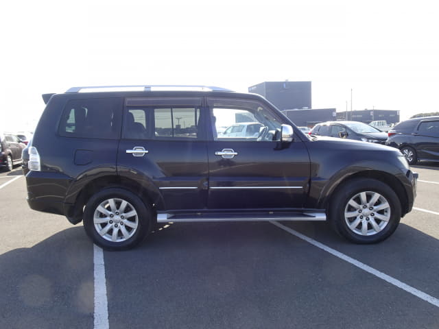 2010 MITSUBISHI Pajero