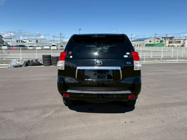 2010 TOYOTA Land Cruiser Prado