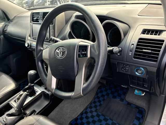 2010 TOYOTA Land Cruiser Prado