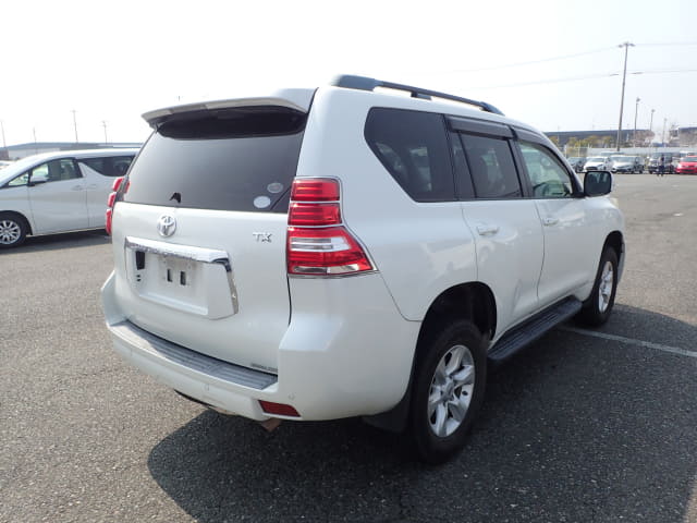 2010 TOYOTA Land Cruiser Prado