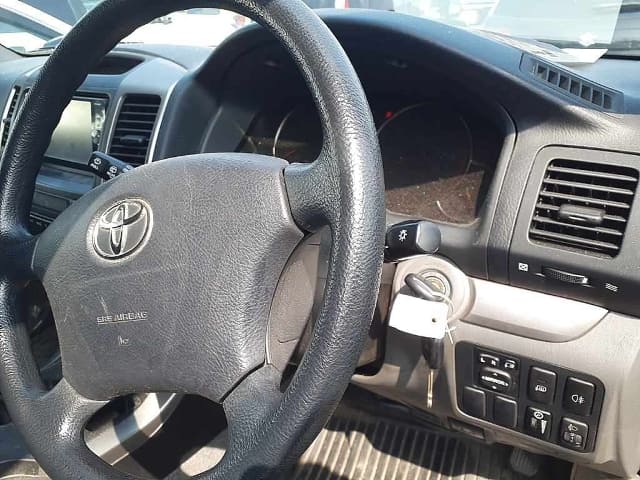 2009 TOYOTA Land Cruiser Prado