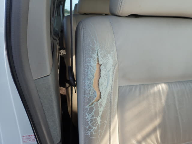NISSAN Elgrand thumbnail 45