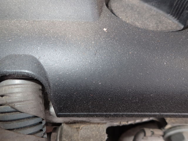 TOYOTA RAV4 thumbnail 43