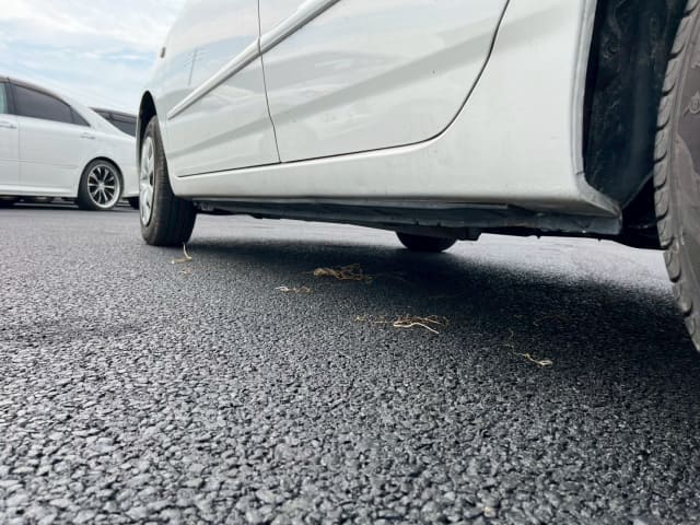 TOYOTA Corolla Sedan thumbnail 19