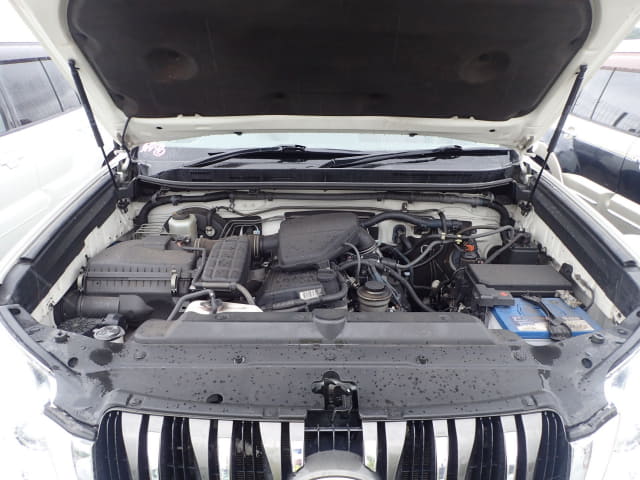 TOYOTA Land Cruiser Prado thumbnail 59