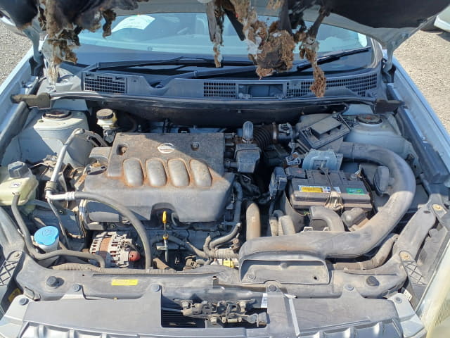 NISSAN Dualis thumbnail 47